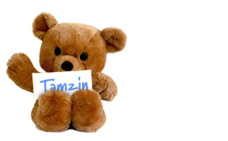 Tamzin Lewis's teddy bear